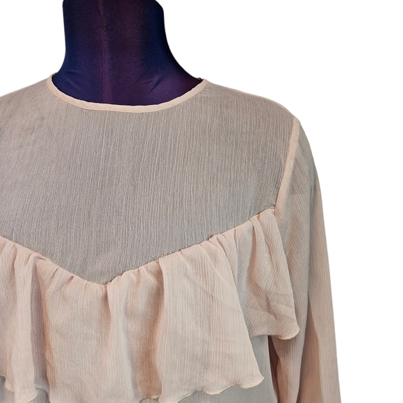 Express Blush Crinkle Semi-Sheer Ruffle Blouse Size Medium Women's Top - Picture 2 of 8